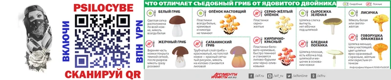 Купить закладки  Воркута  Галлюциногенные грибы мухоморы 