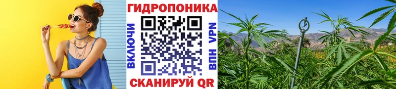 Купить закладки Воркута Бошки Шишки MAZAR